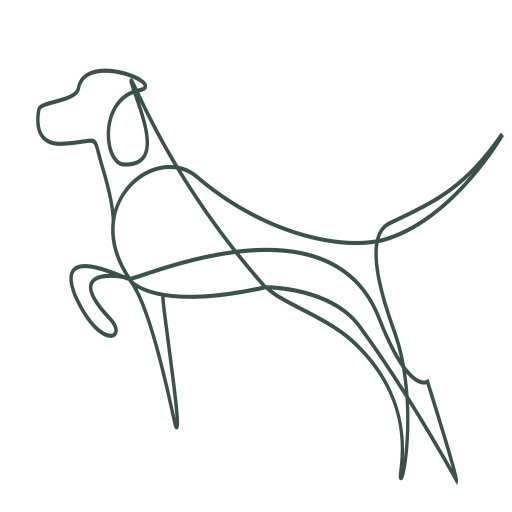 Ardanaiseig Vizsla's Home Boarding